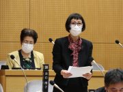 2022年第二回、川崎市議会定例会、予算審査特別委員会での赤石博子議員の質問
